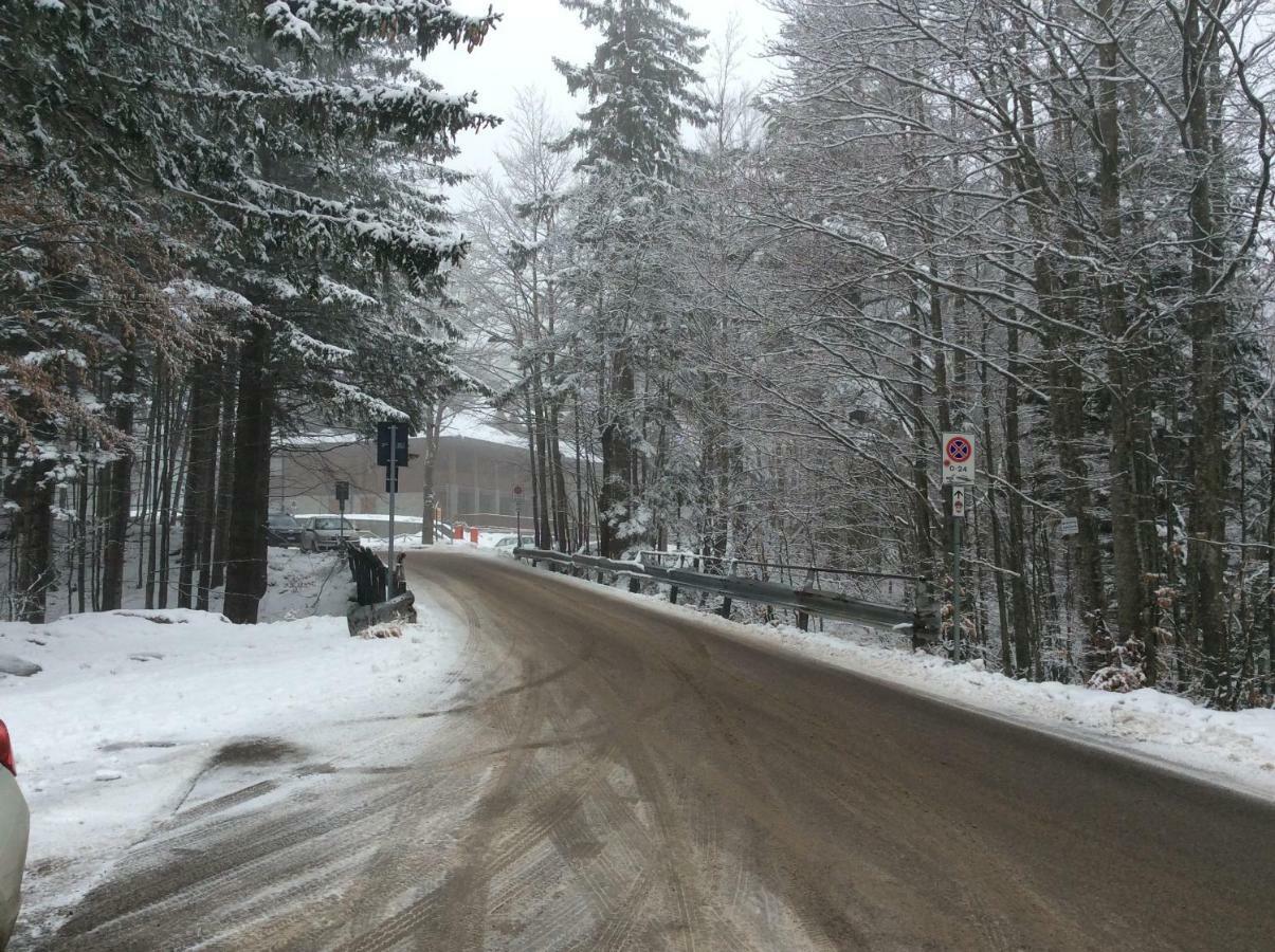 Cristallo Val Di Luce *